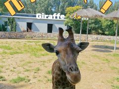 -北京野生动物园