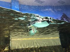 -成都浩海立方海洋公园