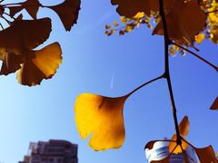 -苏州河梦清园环保主题公园