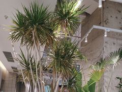 -卡朋西餐(宝安大仟里店)