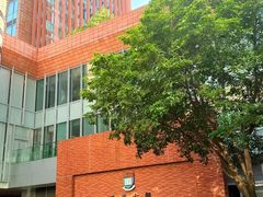-香港大学