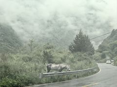 -叠溪松坪沟景区
