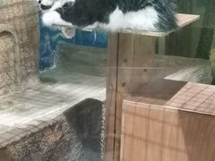 -顺德南宏海立方海洋公园