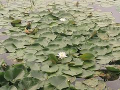 -长春市南湖公园