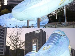 -宝龙城(杭州滨江店)