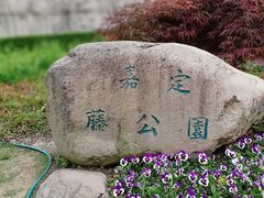 -嘉定紫藤园