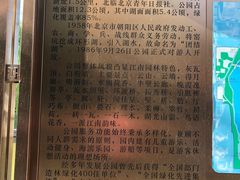 -团结湖公园