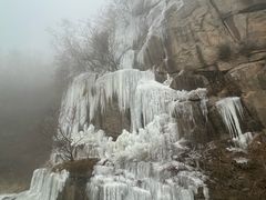 -鲁山国家森林公园