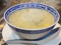 -大中鱼翅 Taitong Shark Fin