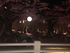 -蓝鲸湾汤泉(包河店)