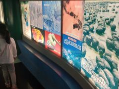 -上海昆虫博物馆