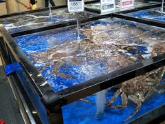 水产区-七鲜超市(万向城店)