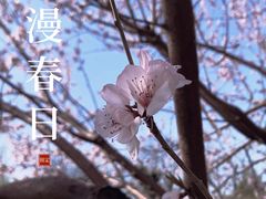 -三里河公园