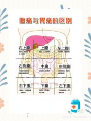 -香薇妮丝女子减肥院