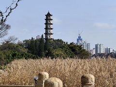 -江心屿景区