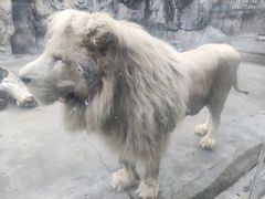 -南昌动物园