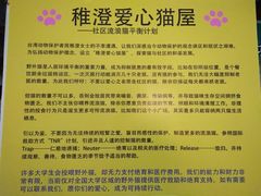 -猫咪博物馆(顶澳仔猫街店)