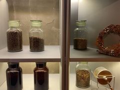 -BERRY BEANS(东直门店)