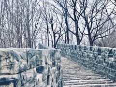 -塔云山