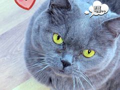 -Rabbit Cafe私房西餐甜点咖啡(栖霞路店)