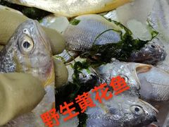 -十五大街农贸市场