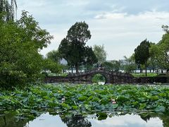 -无锡蠡湖国家湿地公园-蠡园
