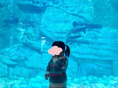 -泉城欧乐堡海洋极地世界