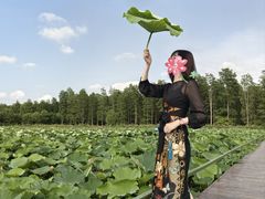 -渌洋湖湿地公园