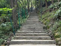-南山植物园