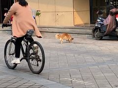 -里兆打面馆