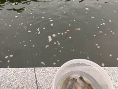 -DGE季风钓虾营地·团建·聚会