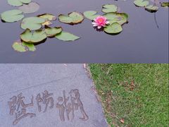 -暨阳湖生态园