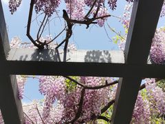 -北京市劳动人民文化宫(太庙)