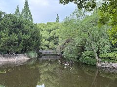-叶家花园