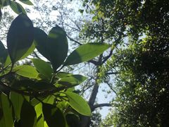 -石家庄市植物园