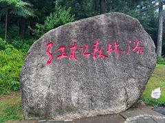 -五营红松林海景区