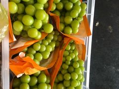 -西郊国际农产品交易中心