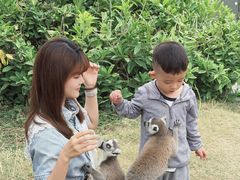 -泉州海丝野生动物世界