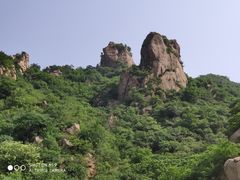 -大岭沟猕猴桃谷风景区