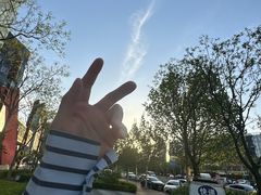 -大兴滨河森林公园