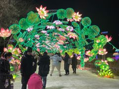 -沈阳奥体冰雪嘉年华