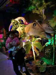 -恐龙探索乐园(磁器口店)