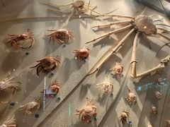 -中国湿地博物馆