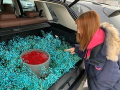 -ROSEONLY诺誓(沈阳万象城店)