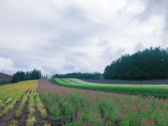 -富田农场
