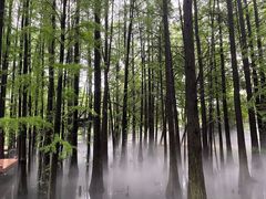 -东湖落雁景区