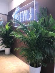 点击看大图 -P.STYLE派斯造型