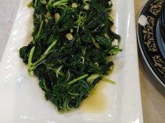 -肥信潮菜(科新路店)