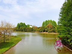 -上海海湾国家森林公园