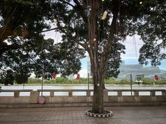 -仑头海鲜城(仑头环村南路店)